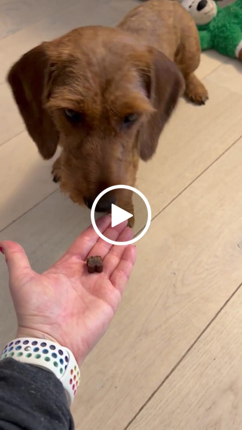 Customer video review of Wohlfühlsnacks für Hunde bei Stress, Angst, Unruhe & Hyperaktivität
