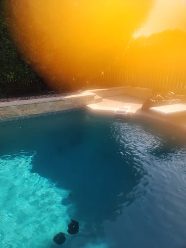 Customer photo review of Skimmer Saver (14" wide)