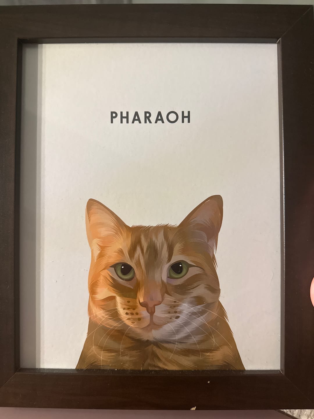 Customer photo review of Custom One Pet Portrait