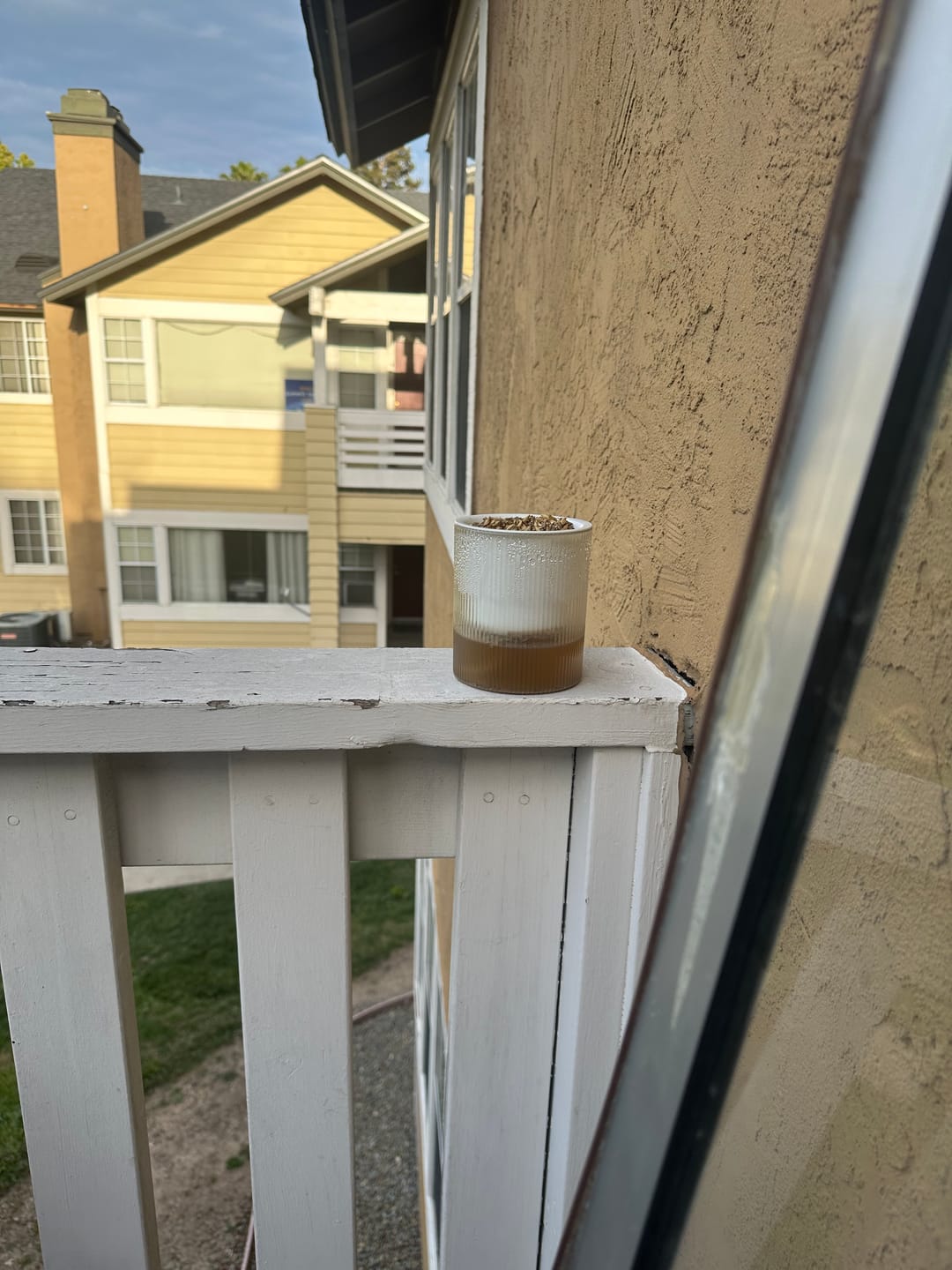 Customer photo review of Michu All-in-One Soil-Free Cat Grass Grow Kit - Made In USA