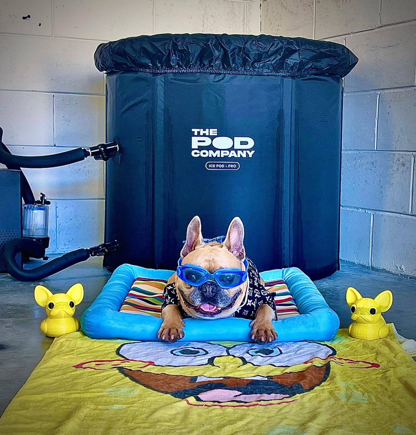 Customer photo review of The Pod Chiller