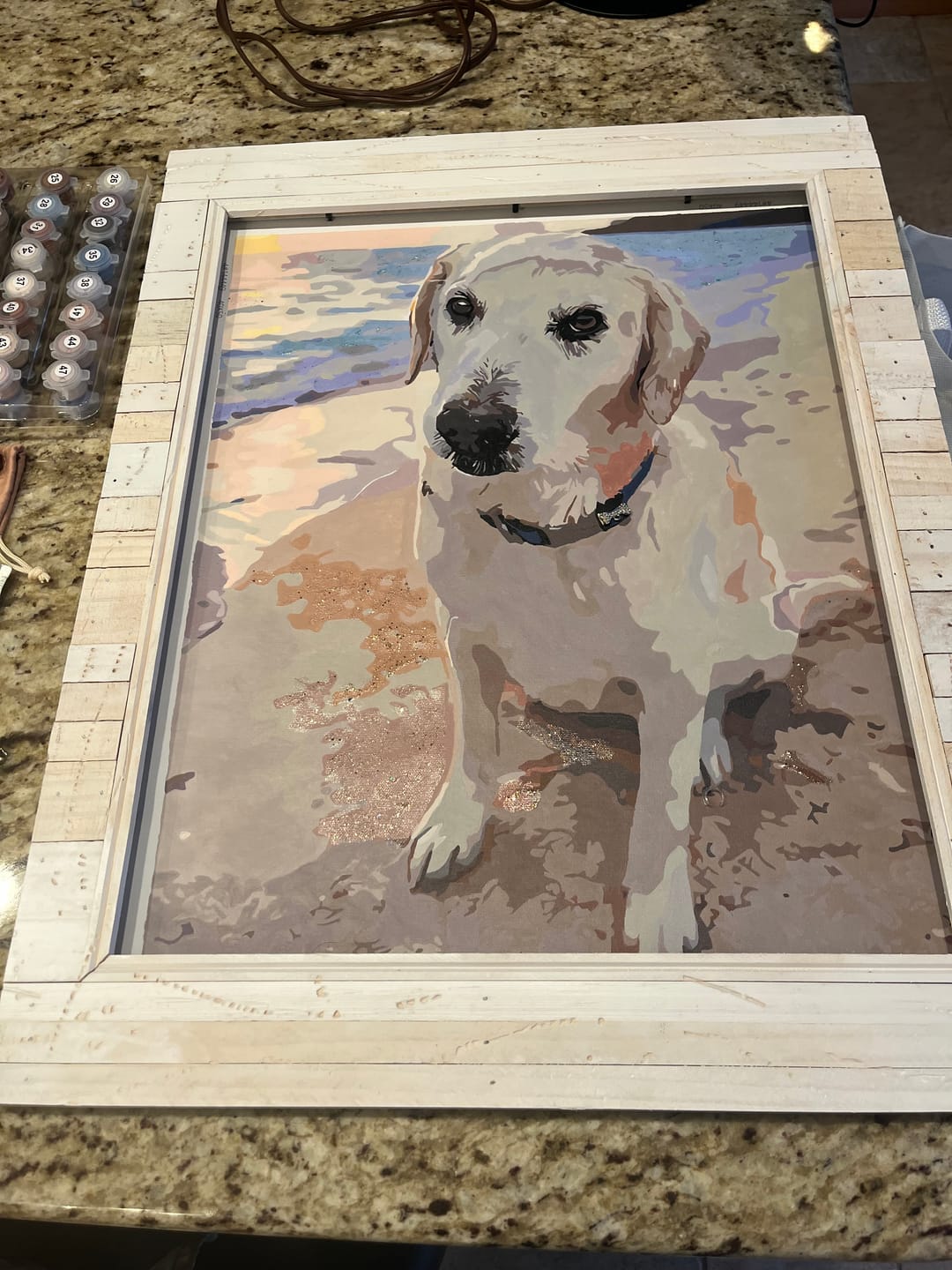 Customer photo review of Paint Your Own Photo