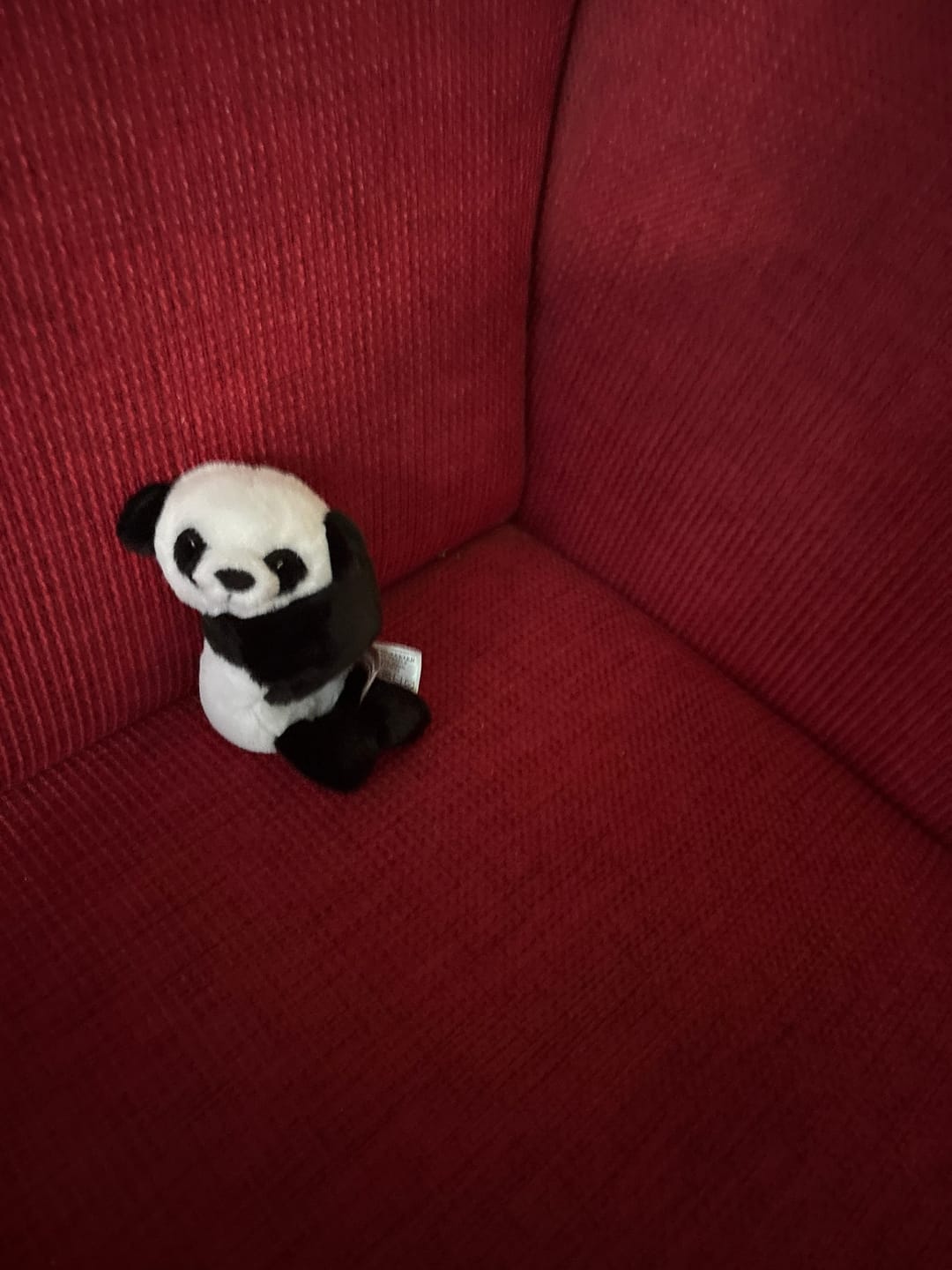 Customer photo review of Mini Lotgenootje Panda
