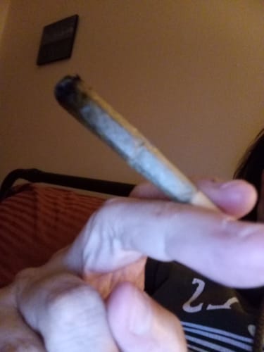 Customer photo review of 1 Sampler Alpha NERD RUNTZ THCa Pre Roll 1.25g