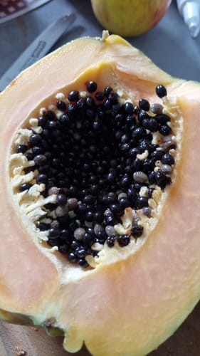 Customer photo review of Papaya Bio Retterbox 4kg