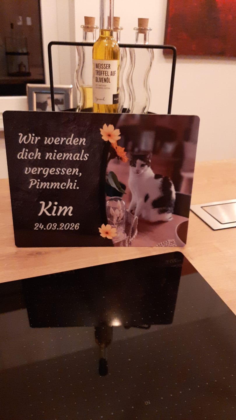 Customer photo review of Katzen Gedenktafel mit Foto & Spruch (UV- & Wetterfest)