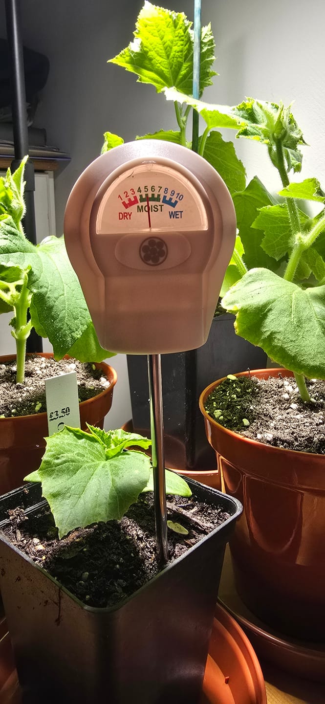 Customer photo review of Soil Moisture Meter
