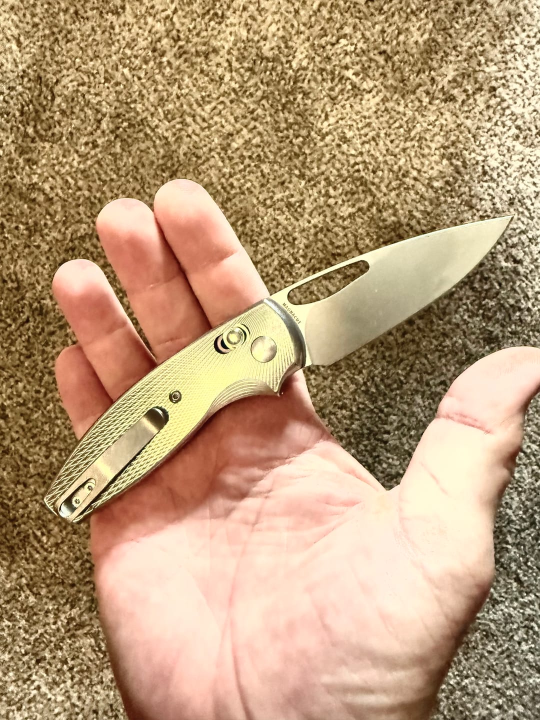 Customer photo review of TRM BULLDOG Rev. B Knife – MagnaCut Blade, 3D Contoured Titanium Lizard Skin Scales, River-Lok – Made in USA