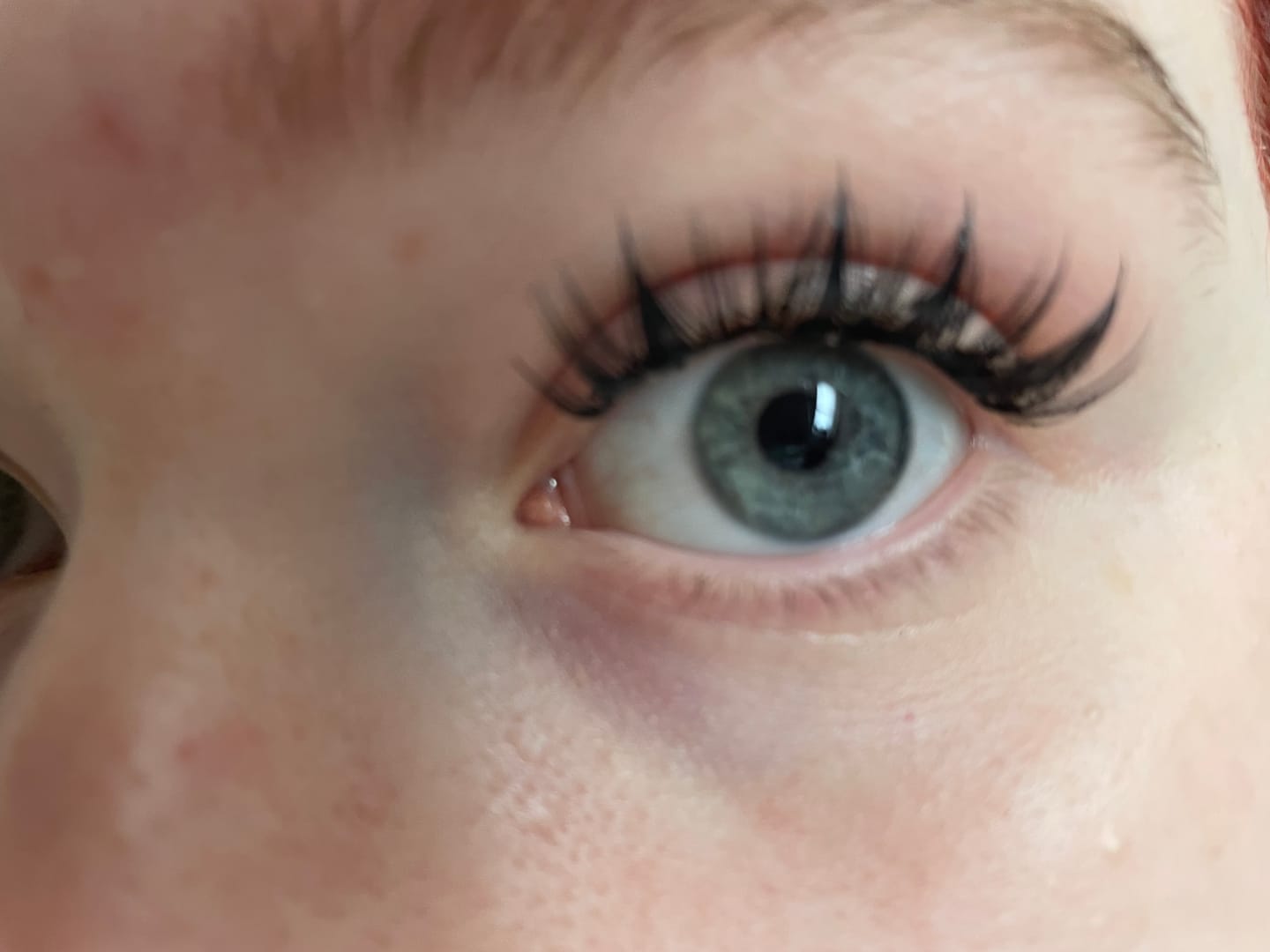 Customer photo review of Manga