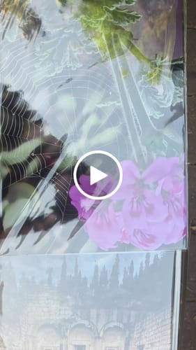 Customer video review of יצירת פוסטר מתמגנט מתמונה