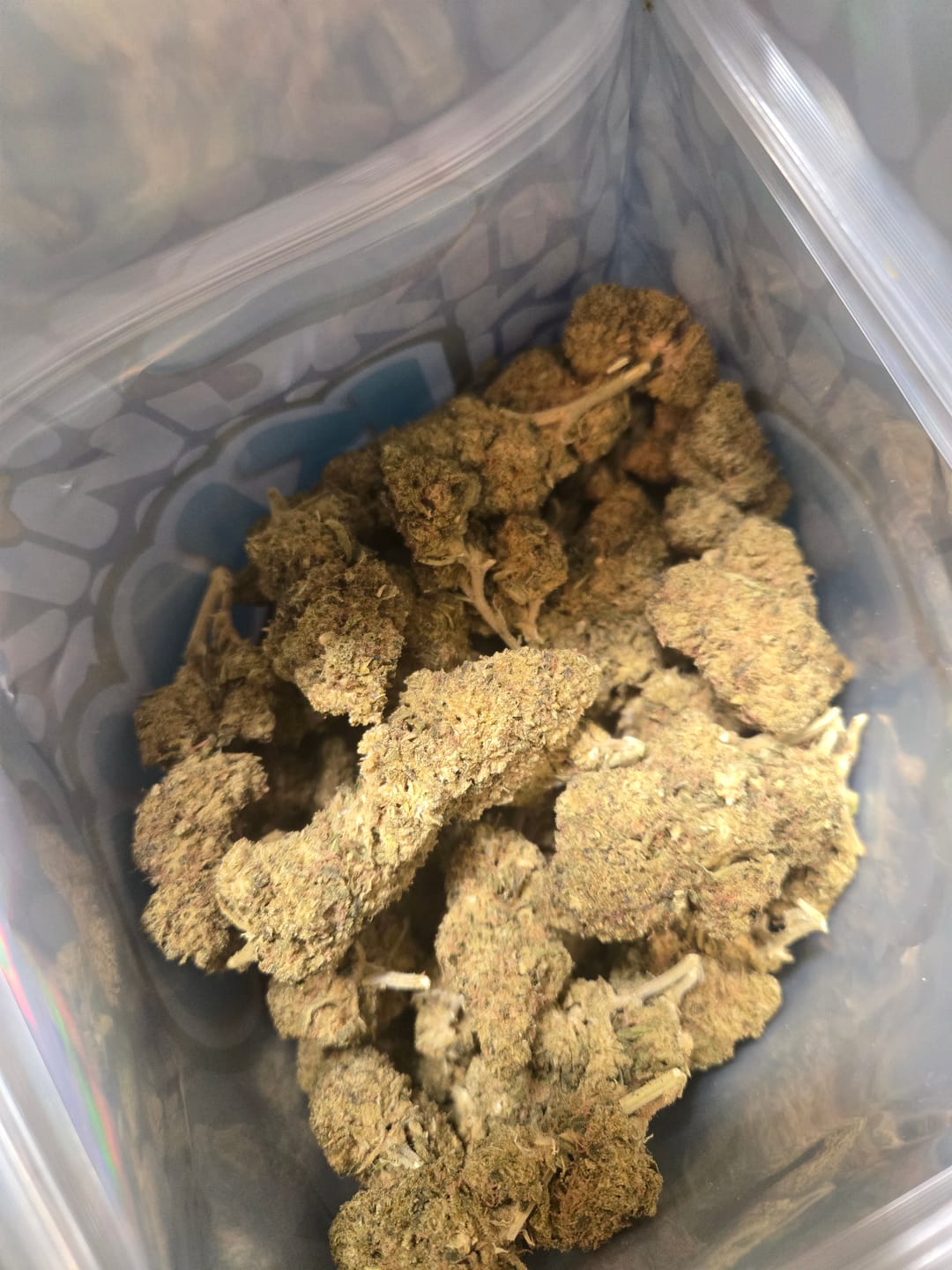 Customer photo review of Acapulco Gold - Bulk - Sativa