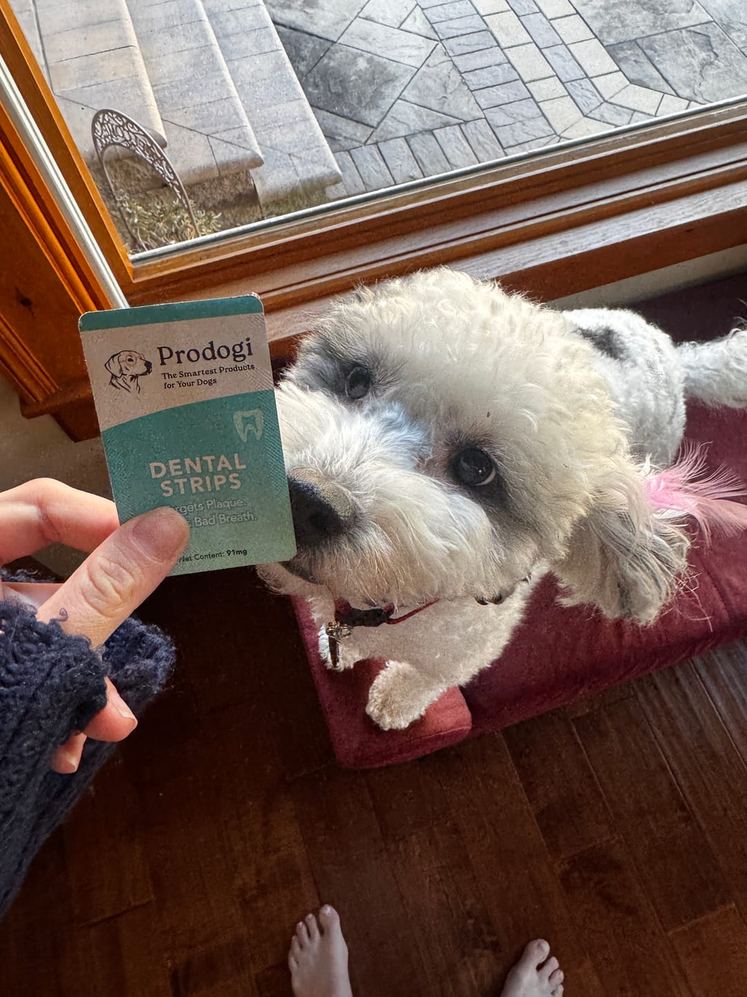 Customer photo review of DENTAL STRIPS