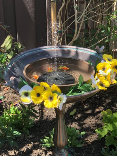 Customer photo review of Bernini Sole Floating Solar Outdoor Fountain