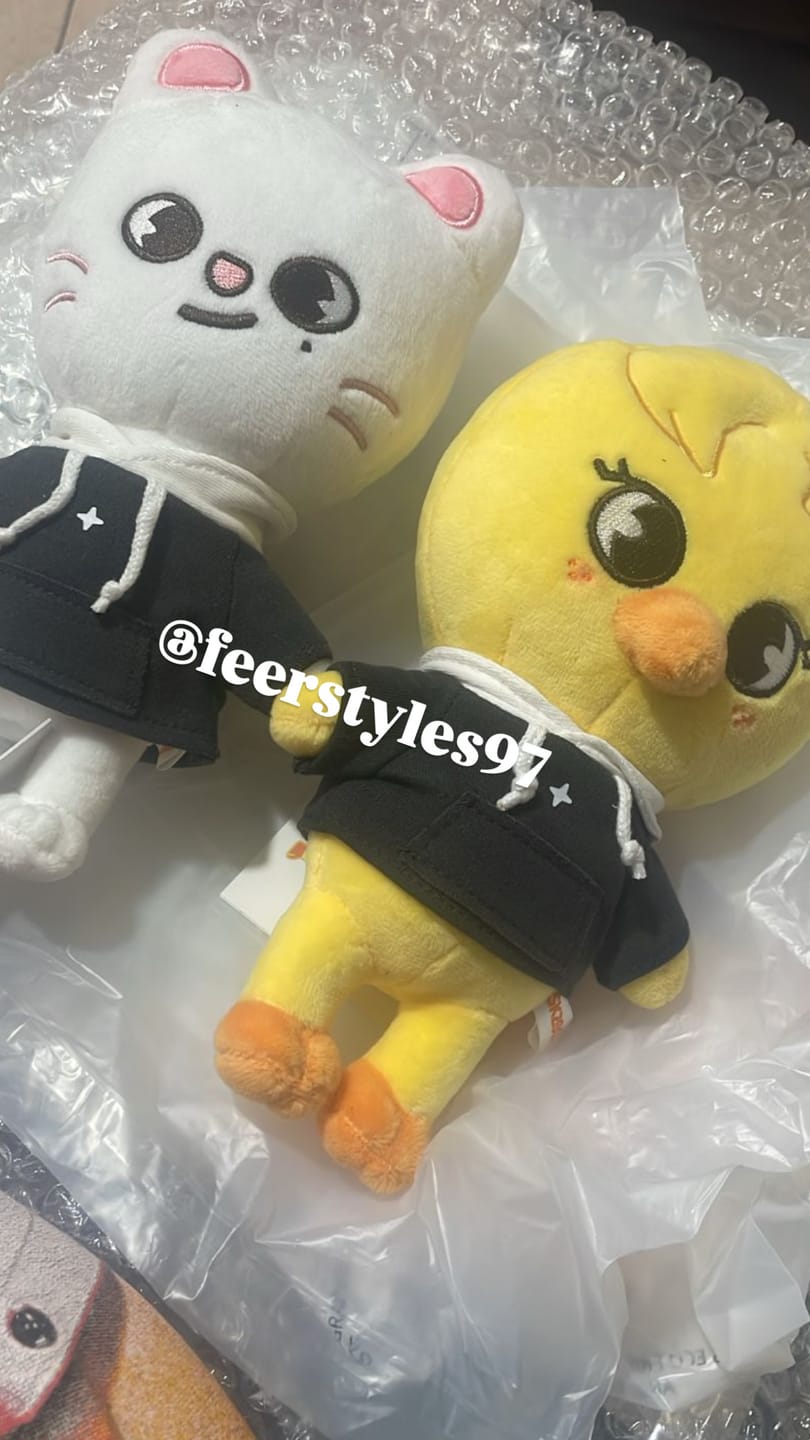 Customer photo review of STRAY KIDS - SKZ'S MAGIC SCHOOL OFFICIAL MD SKZOO PLUSH ORIGINAL VER.