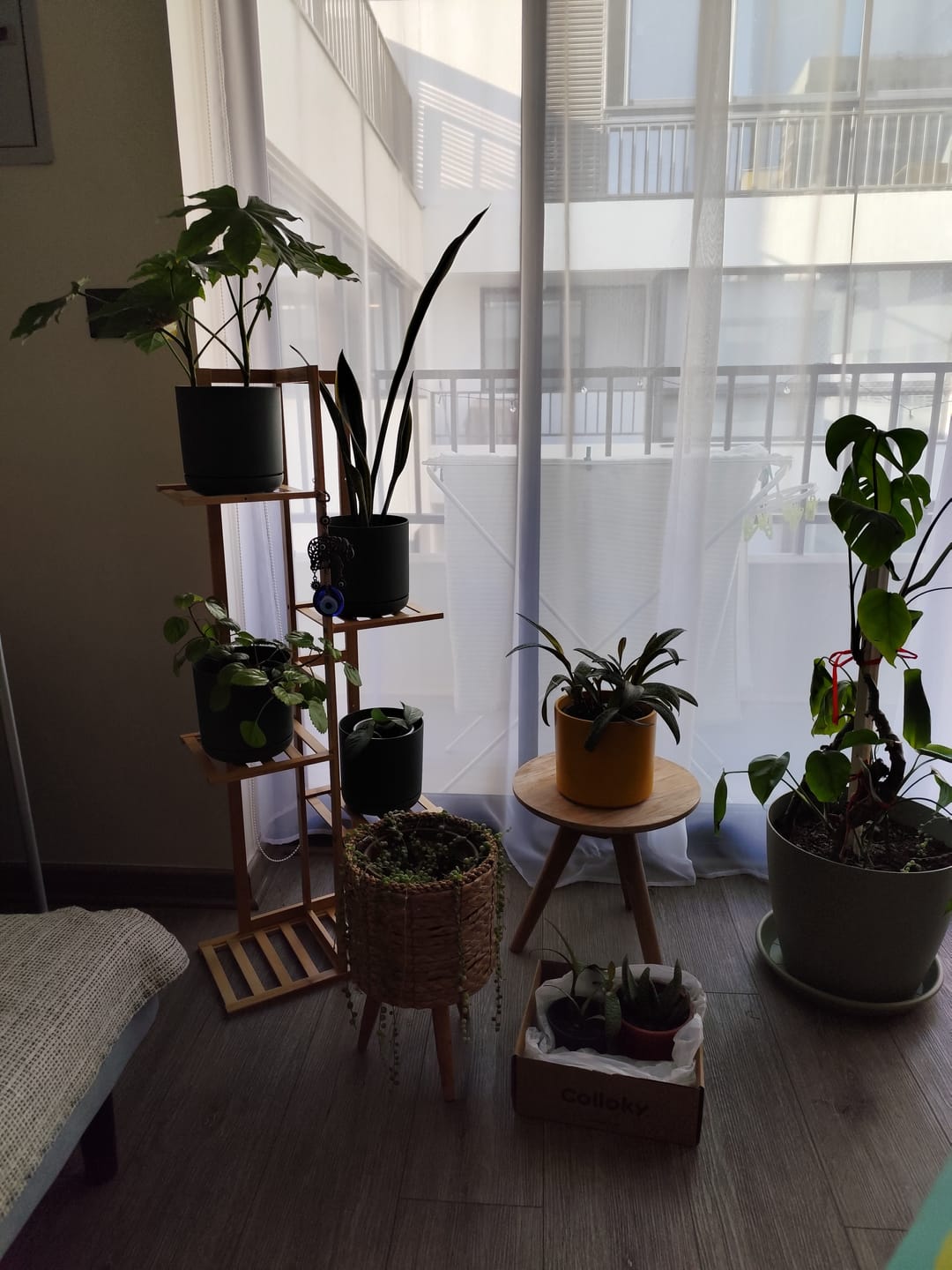 Customer photo review of Soporte para Plantas de 5 Niveles y 7 Niveles Estante Organizador de Macetas