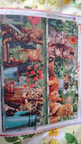 Customer photo review of Katten In Tuinkast