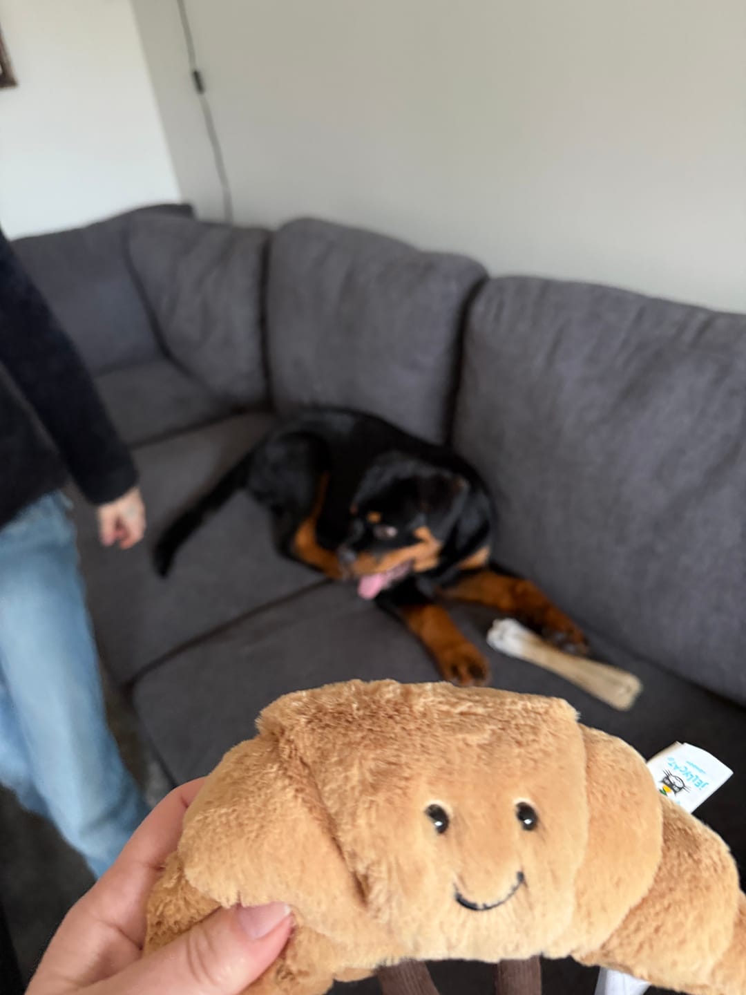 Customer photo review of Amuseables Croissant Small | Jellycat