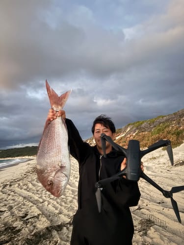 Customer photo review of Aeroo Pro