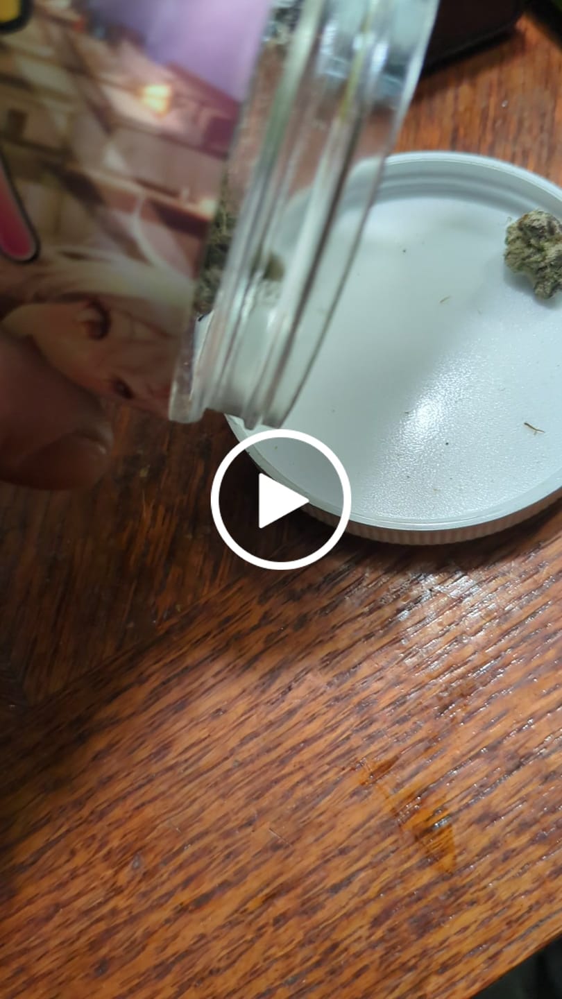 Customer video review of Boutique Exotics - Obama Runtz - 14 Grams - Hybrid