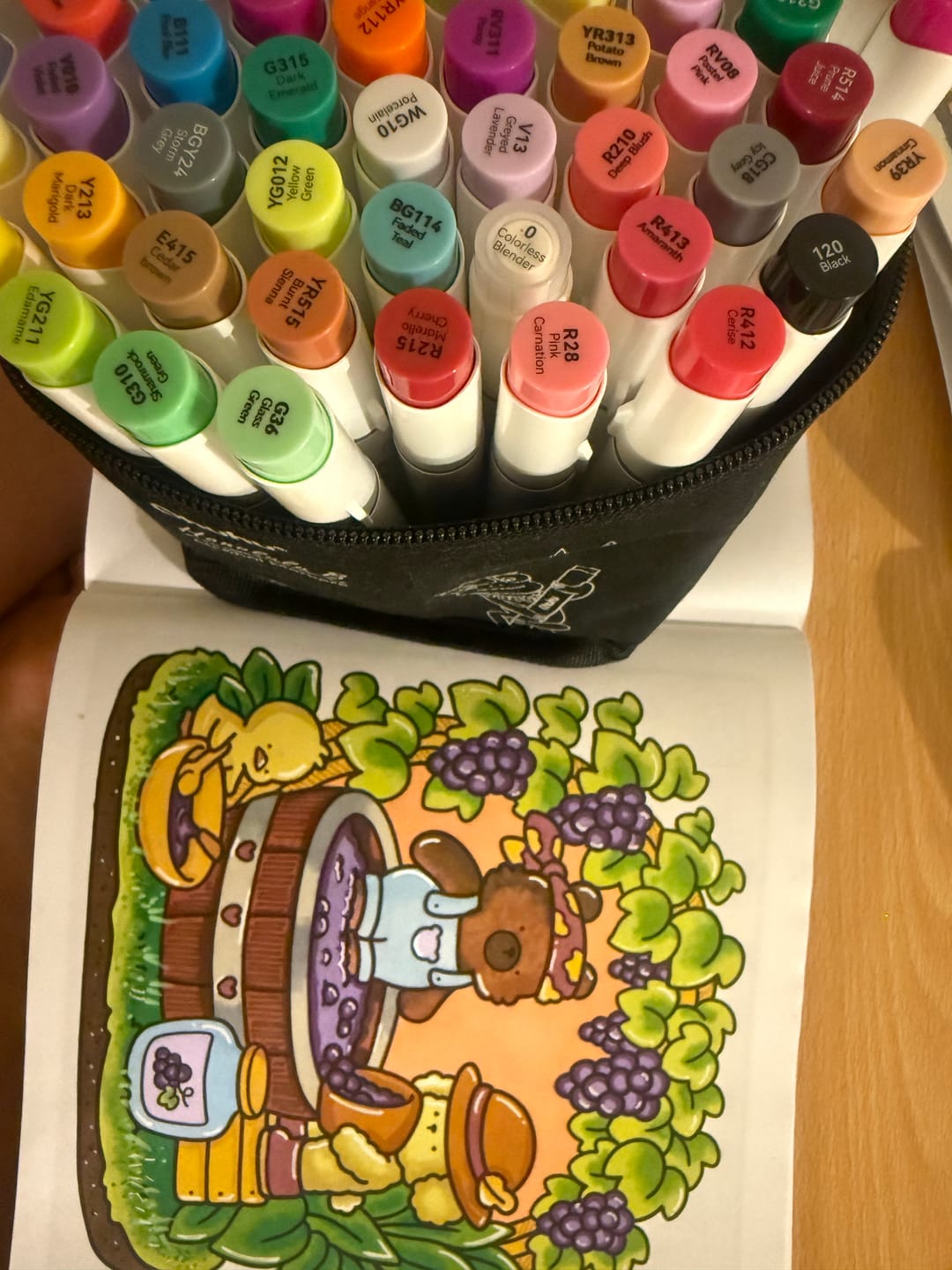 Customer photo review of Ohuhu Honolulu 48 Colors Dual Tips Alcohol Art Markers