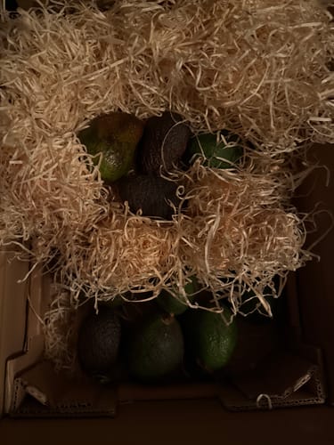 Customer photo review of Avocado Baby-Mix Sonderaktion %
