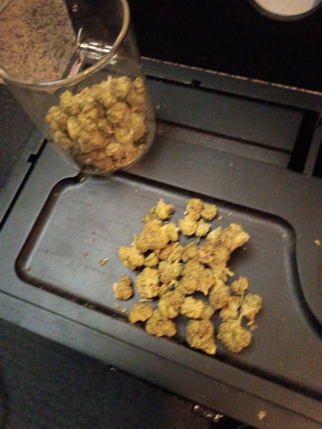 Customer photo review of Purple Kush - Minis - 28 Grams - Indica