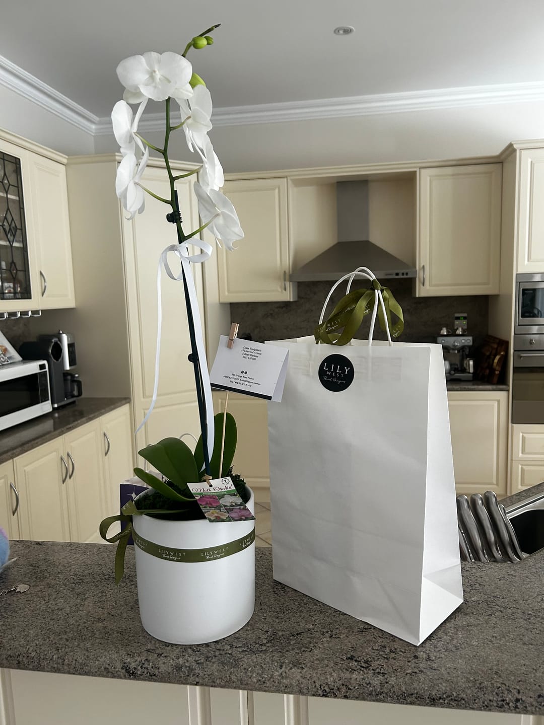 Customer photo review of Phalaenopsis Orchid Plant