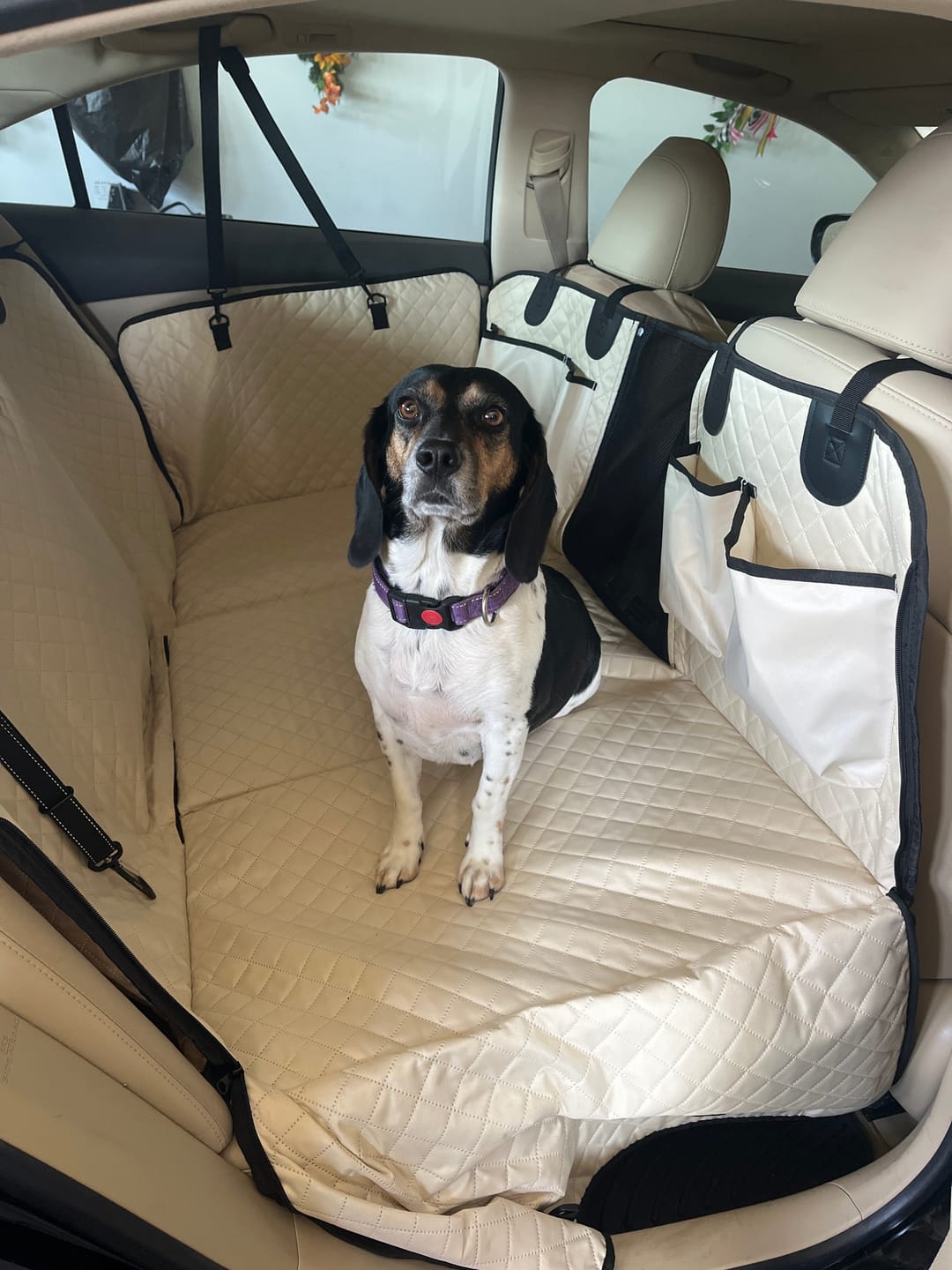 Customer photo review of NEW Waterproof Hard Bottom Car & Truck Seat Foldable Hammock Cover With Storage Pockets, Side Flaps, Headrest Straps, Seat Anchors, & Mesh Window (+FREE SAFETY BELT!)