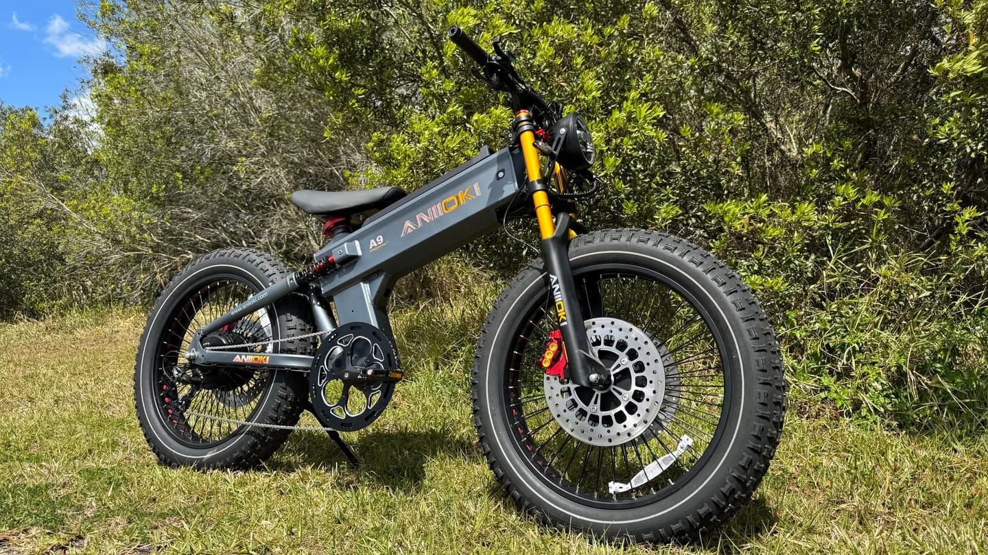 Customer photo review of ANIIOKI A9 Pro Max Dual Motor eBike