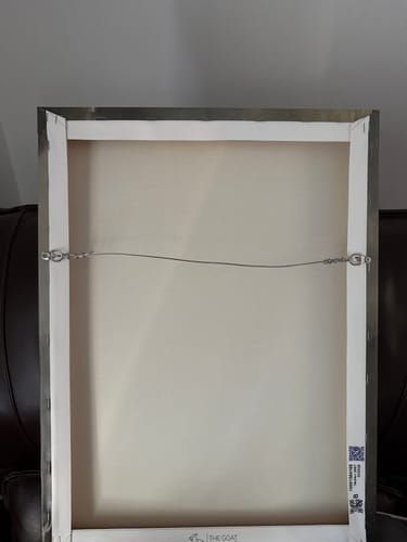 Customer photo review of Pre-installed Premium Hanging Kit