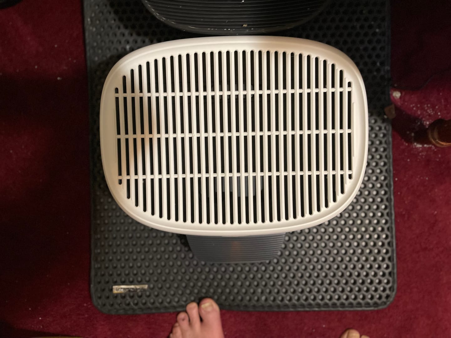 Customer photo review of Neakasa AirStep Odor-Eliminating Cat Litter Box Step