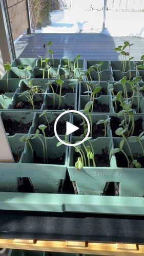 Customer video review of Seed Starting Kit