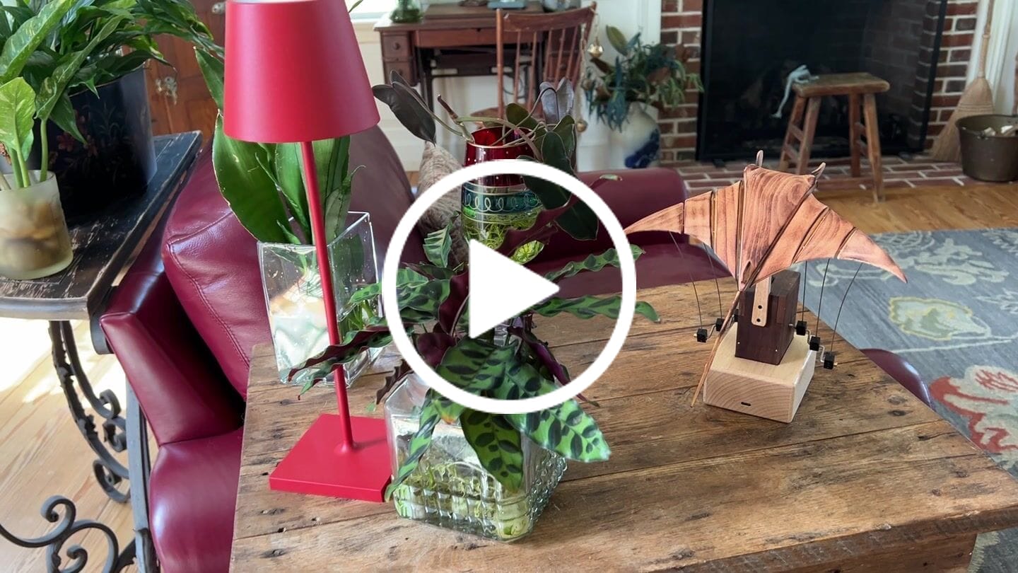 Customer video review of MarinerPoet™ Handcrafted Wooden Manta Ray Automaton