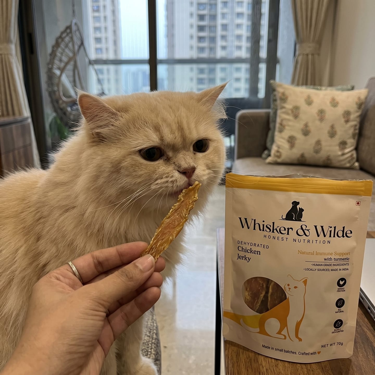 Customer photo review of Dehydrated Chicken Jerky — Turmeric (Cat) Natural Immune Support with Turmeric