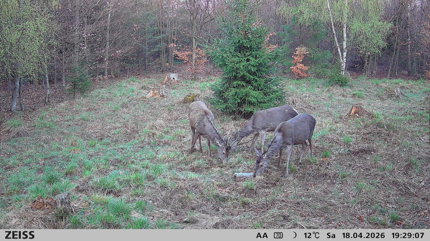 Customer photo review of Duftkordel für Raubwild- und Schwarzwildjagd