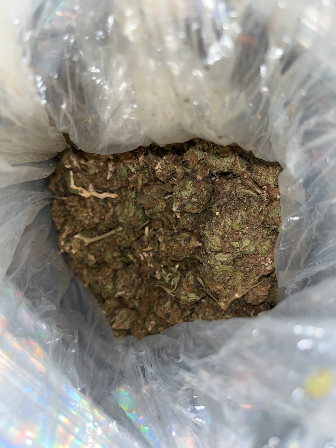 Customer photo review of Butterscotch OG - Bulk - Indica