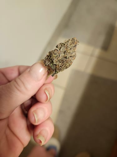 Purple Trainwreck - Indoor - 4 Grams - Sativa photo review
