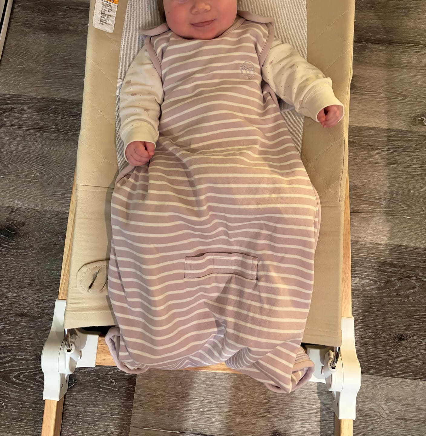 Customer photo review of 4 Season® Ultimate Baby Sleep Bag, Merino Wool & Organic Cotton, Lilac