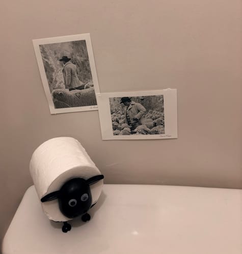 Customer photo review of Mon petit mouton®