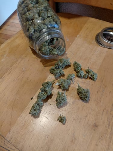 Customer photo review of Gorilla Glue Greenhouse THCA