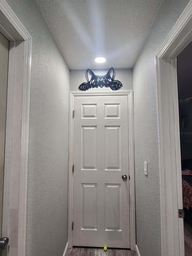 Customer photo review of Peeking Cat Wall Art