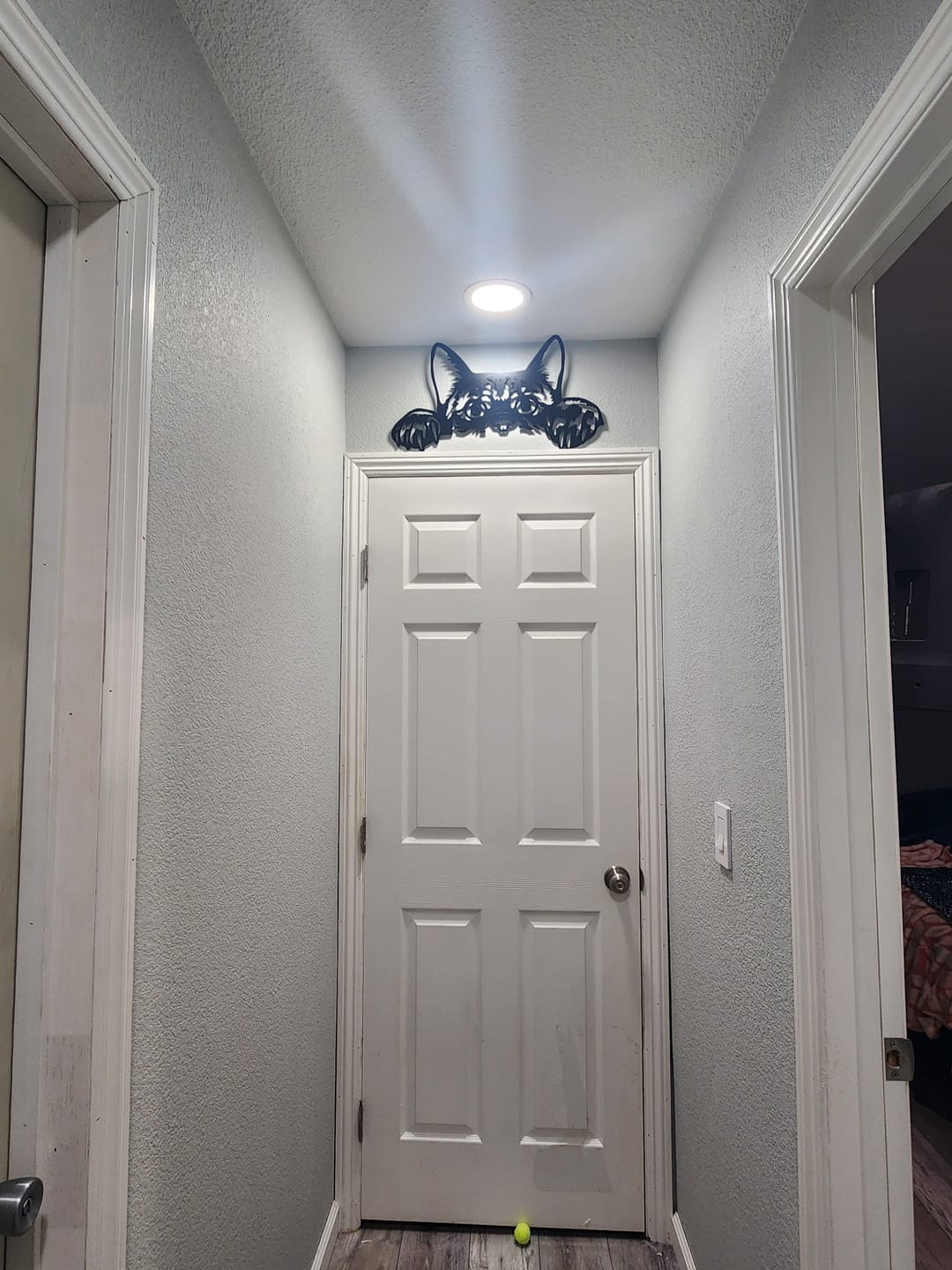 Customer photo review of Peeking Cat Wall Art