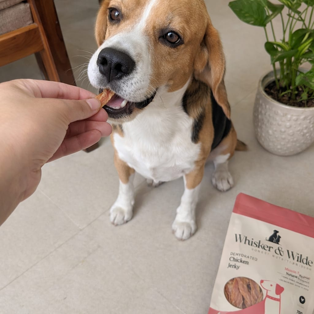 Customer photo review of Dehydrated Chicken Jerky — Original (Dog) Muscle Support | Natural Flavour