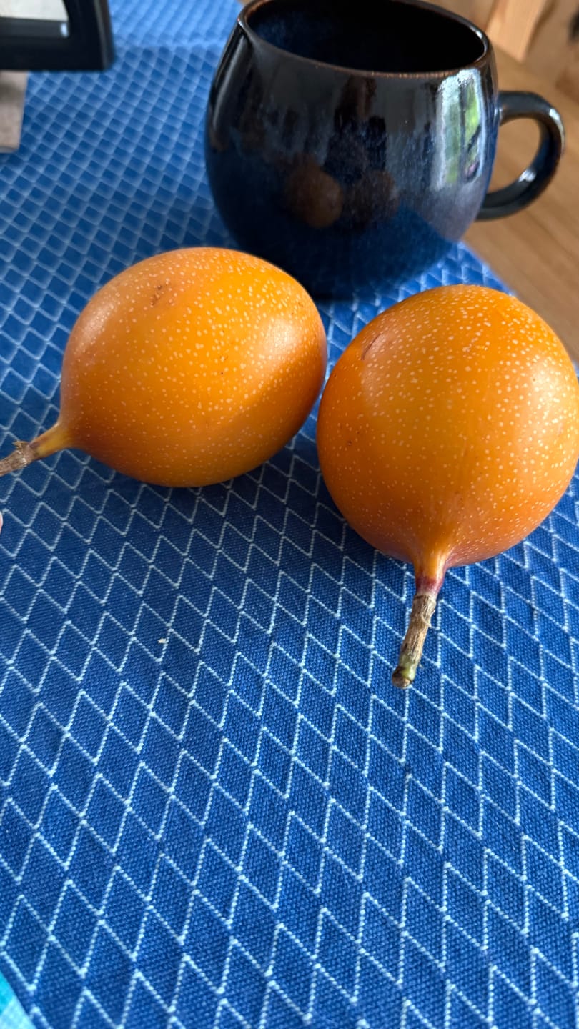 Customer photo review of Süße Granadilla naturbelassen