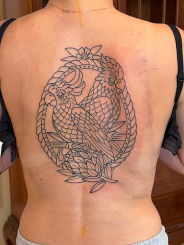 Customer's fresh outline tattoo of two cockatoos on their back after using Signature Tattoo Numbing Cream.