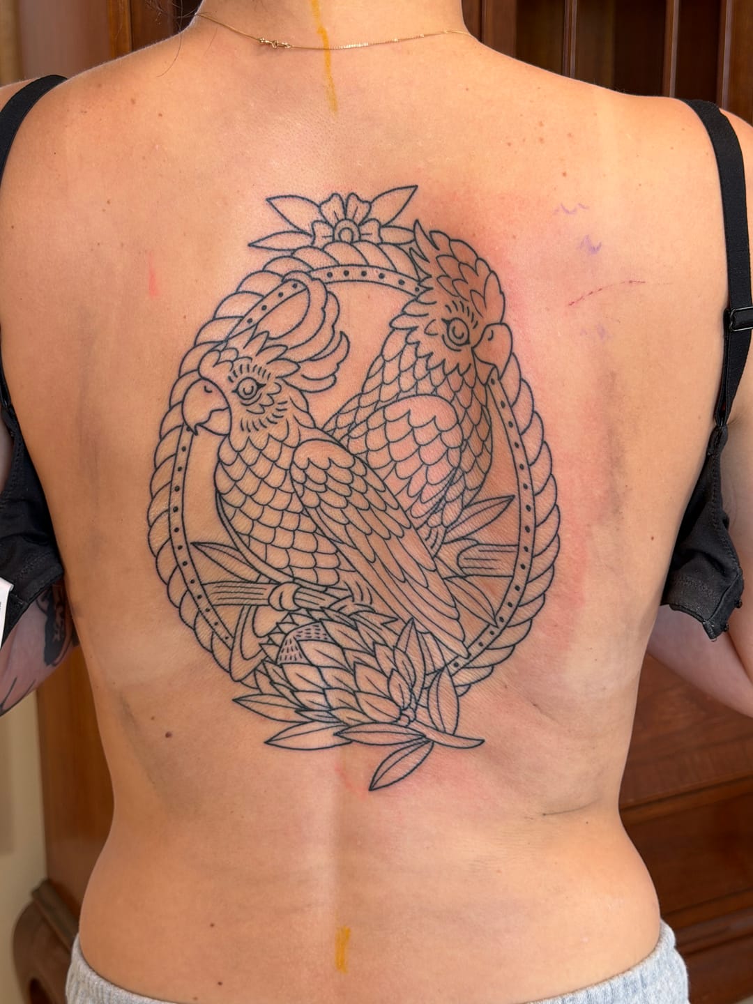 Customer photo review of Signature Tattoo Numbing Cream