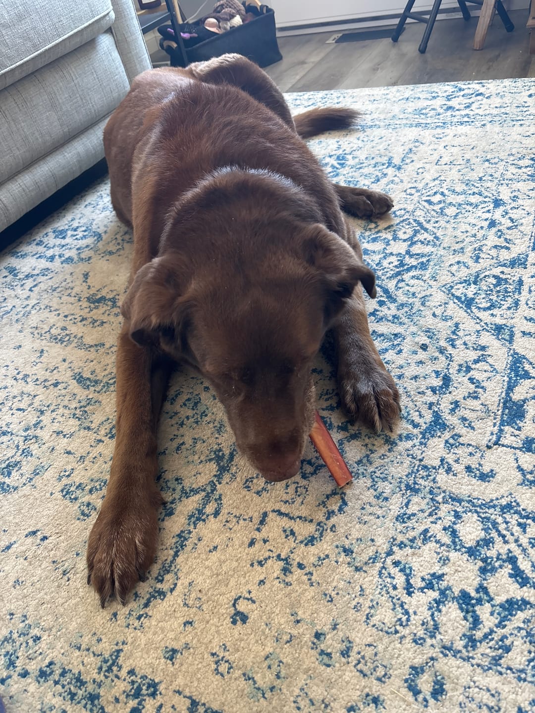 Customer photo review of Small Bully Stick Ring