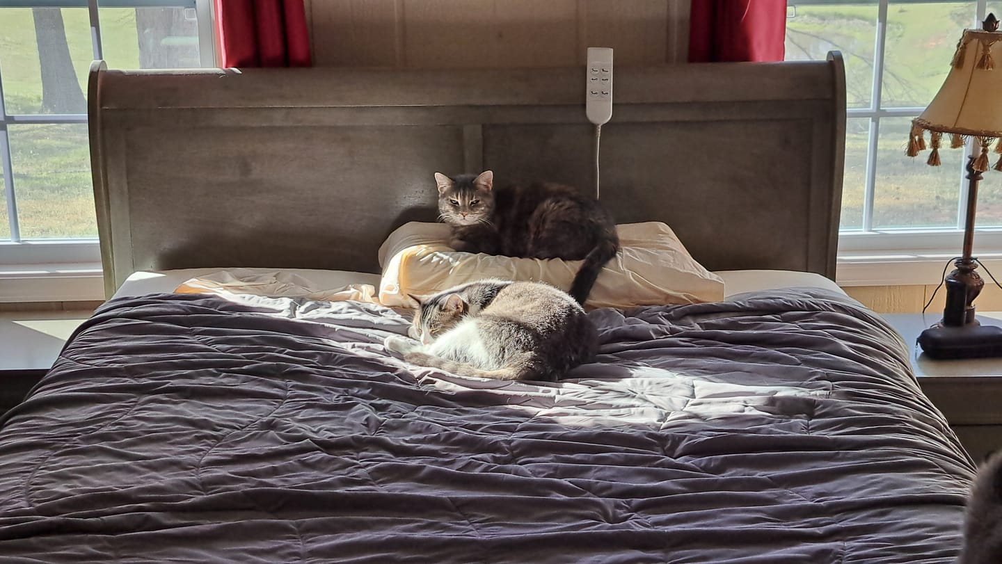 Customer photo review of Onyx AeroMatrix™ Pillow