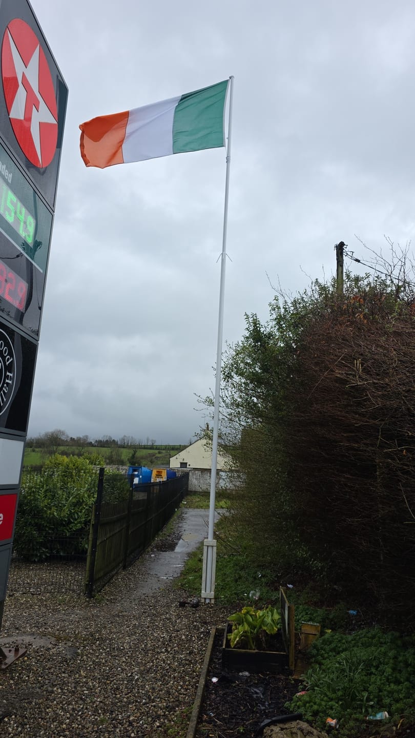Customer photo review of Ireland National Flag