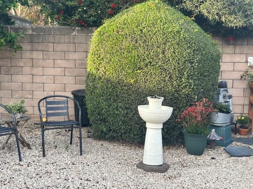 Customer photo review of Lecce Cordless Fountain